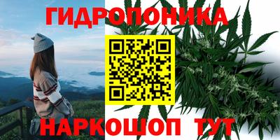 спиды Ставрополь
