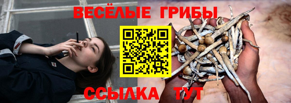 Галлюциногенные грибы Magic Shrooms  Вход с VPN  где купить наркотик  Брянск 