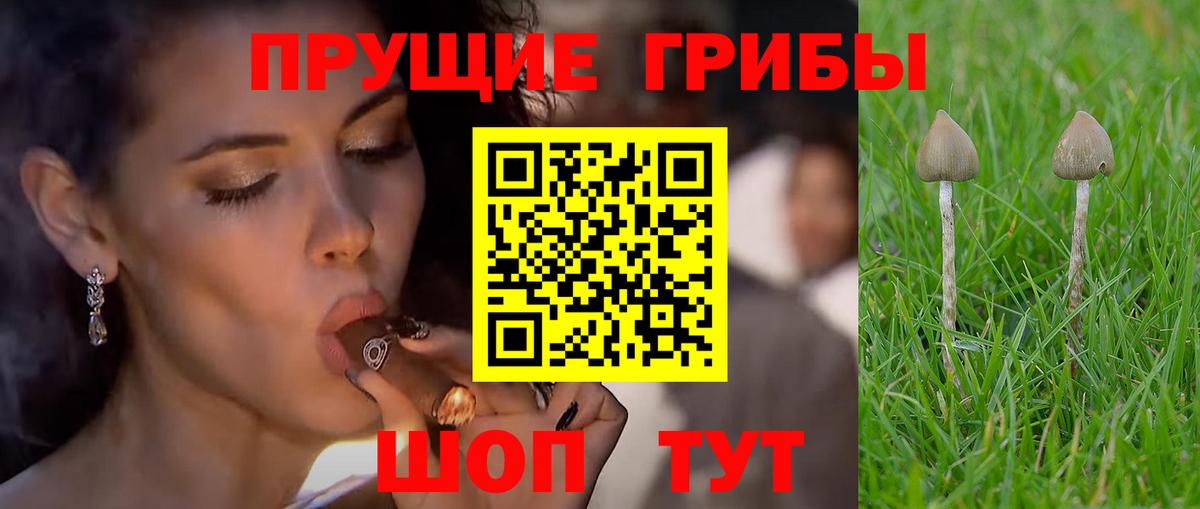 Галлюциногенные грибы мицелий Брянск